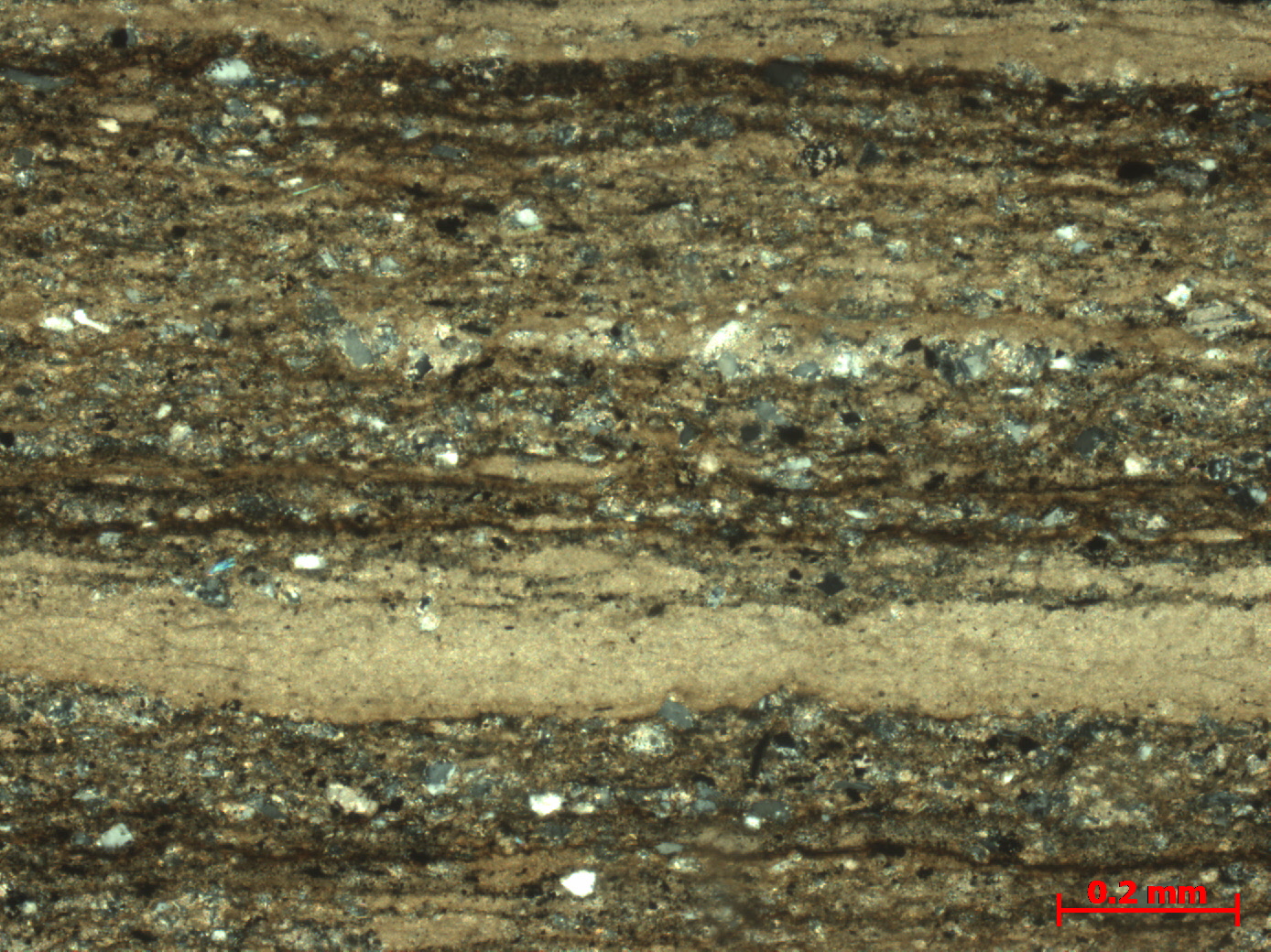 中5-2-6向井_ 196-5_1276.09m_ （+) 100X_荧光薄片鉴定19块岩心(1-192)_20230920.jpg