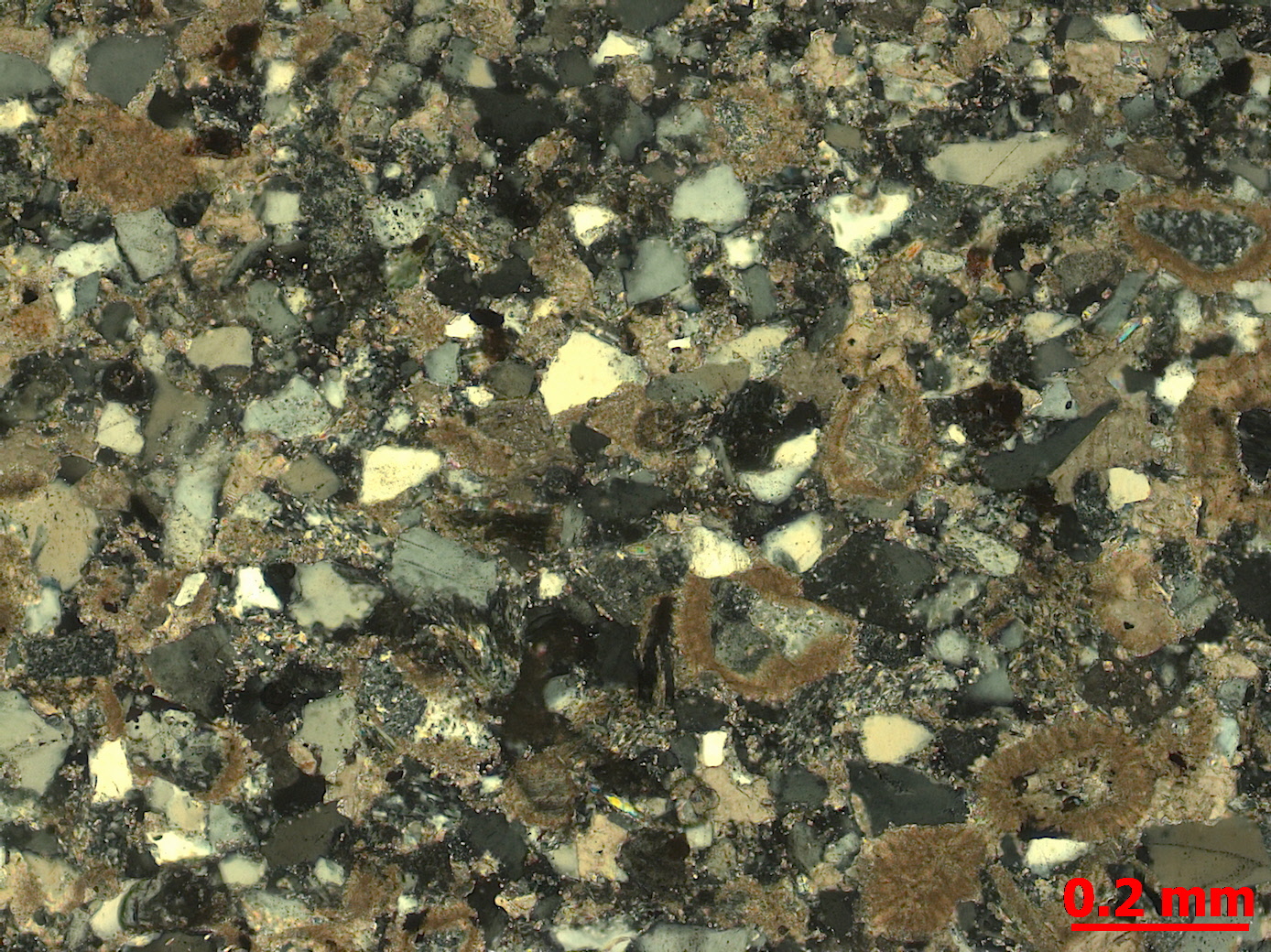 油评4井_ 24-3_ 1255.00m_荧光（+)×100 (2).jpg